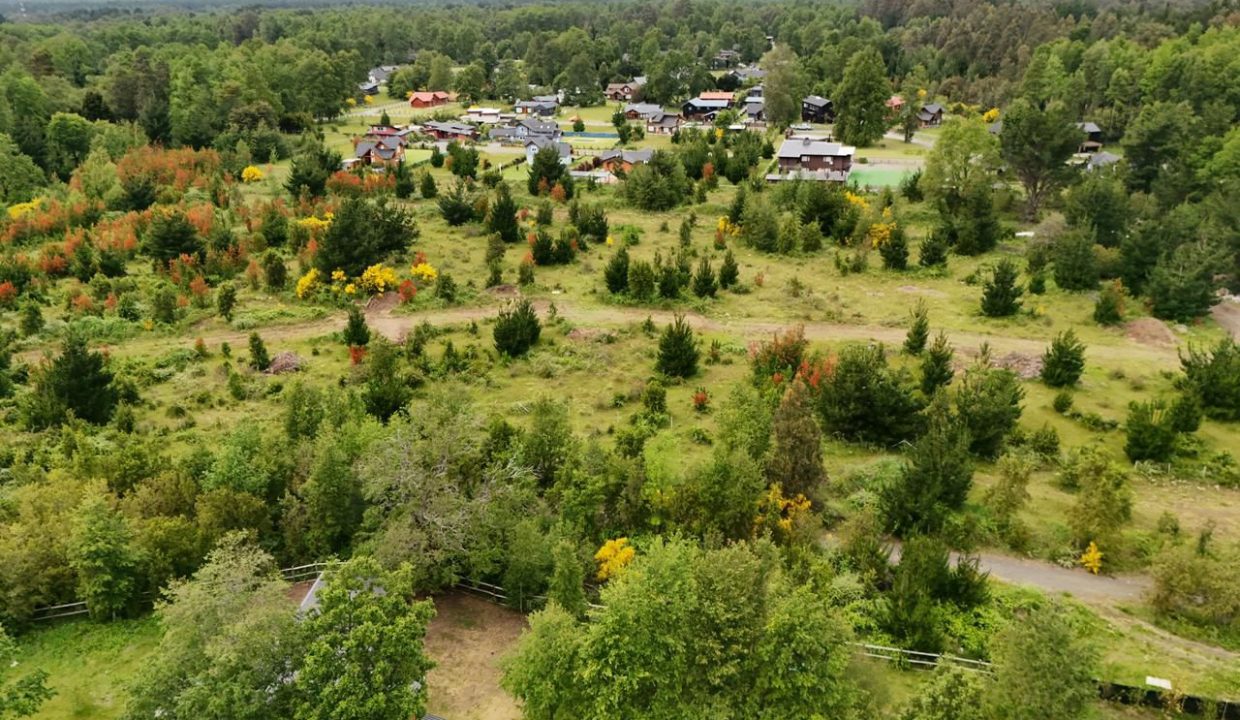 WhatsApp Image 2026-03-02 at 1.10.32 AM (1)