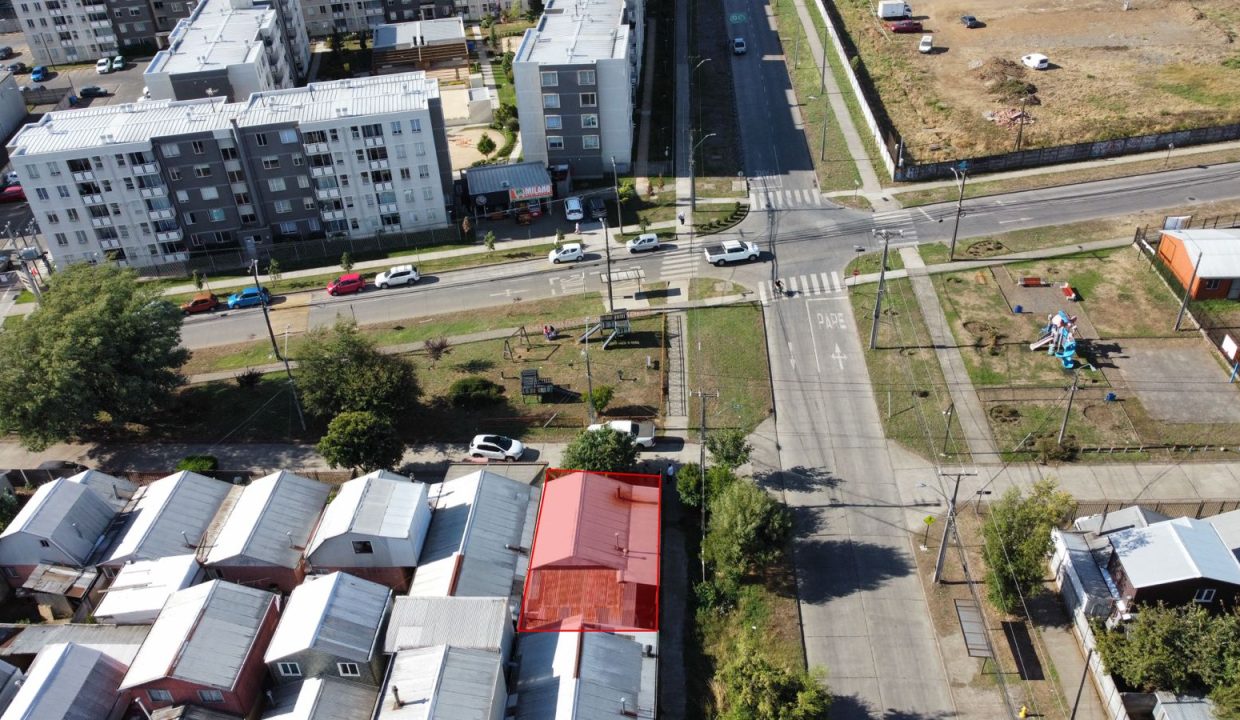 WhatsApp Image 2026-03-03 at 11.06.44 (1)