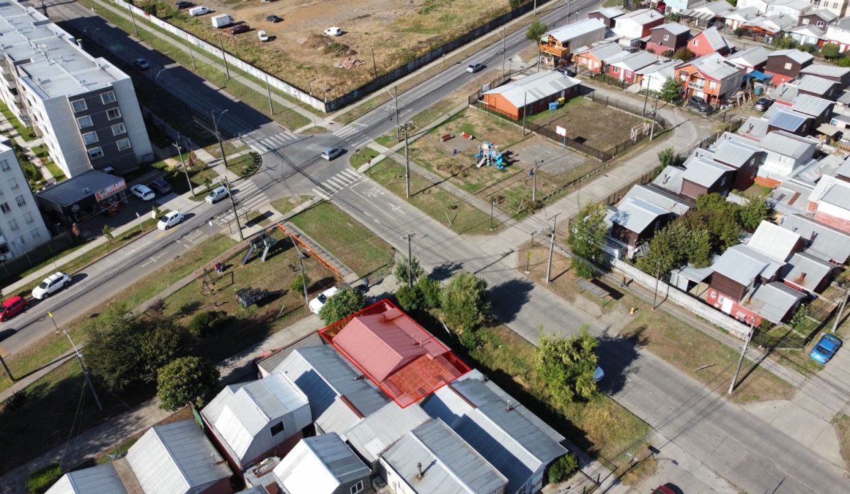 WhatsApp Image 2026-03-03 at 11.06.44