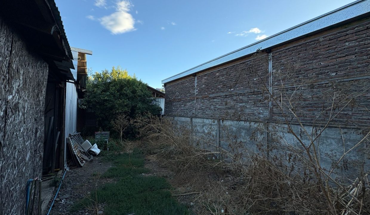 WhatsApp Image 2026-03-03 at 11.21.45 (11)