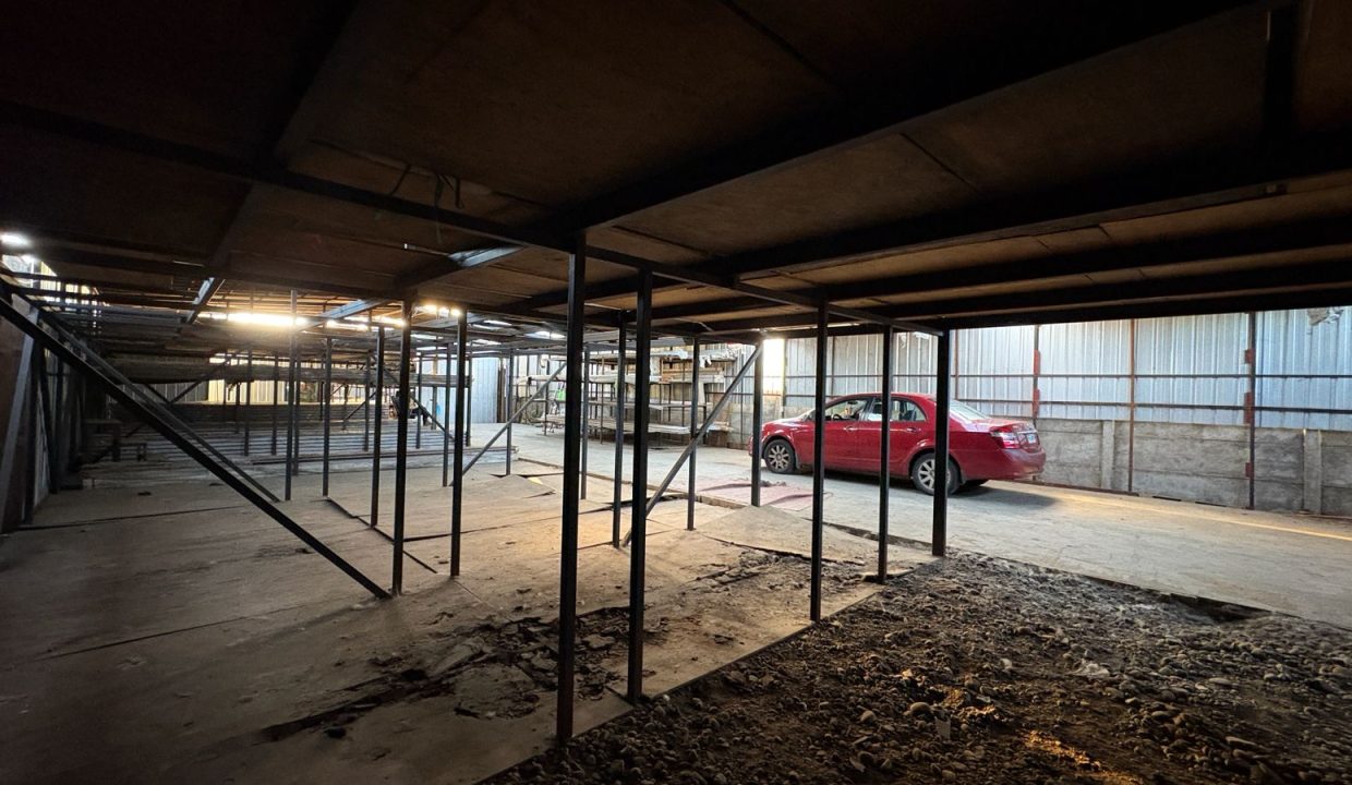 WhatsApp Image 2026-03-03 at 11.21.45 (12)