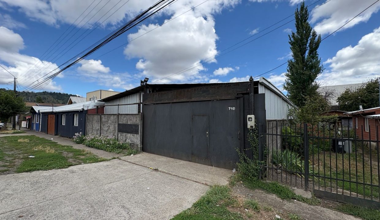 WhatsApp Image 2026-03-03 at 11.21.45 (13)