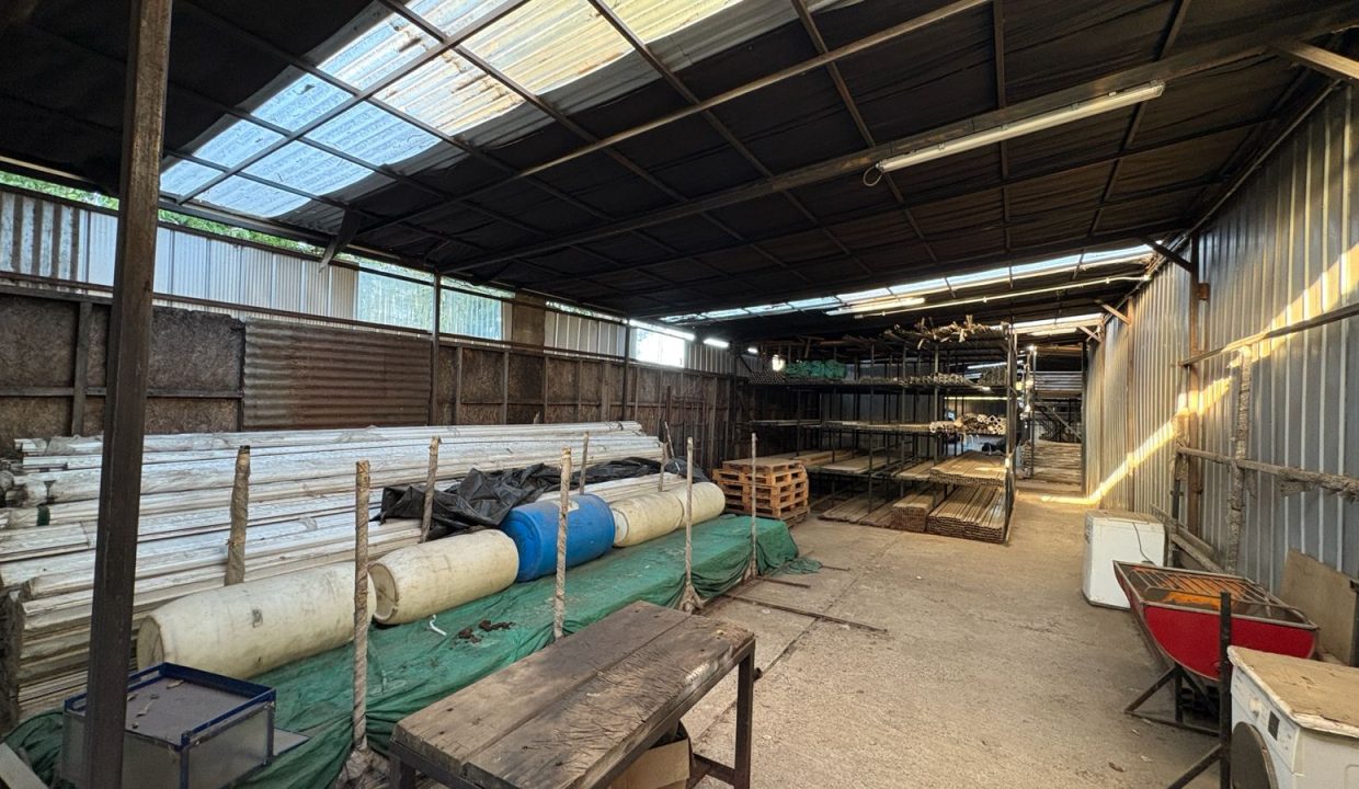 WhatsApp Image 2026-03-03 at 11.21.45 (17)