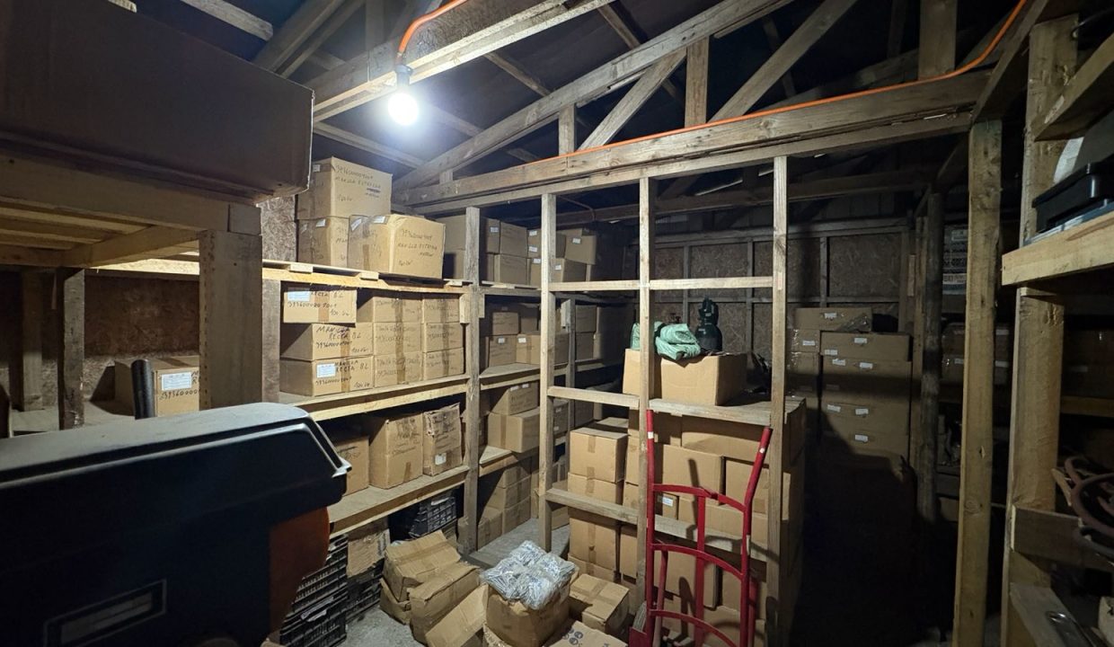 WhatsApp Image 2026-03-03 at 11.21.45 (4)