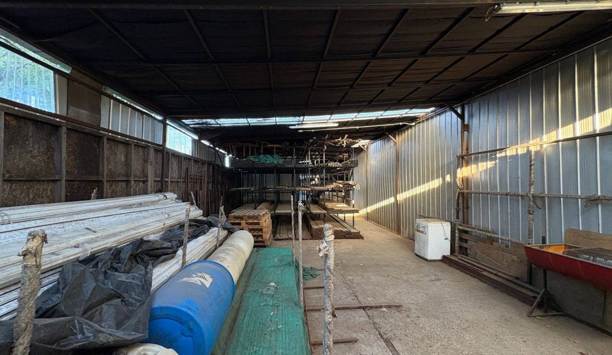 WhatsApp Image 2026-03-03 at 11.21.45 (7)