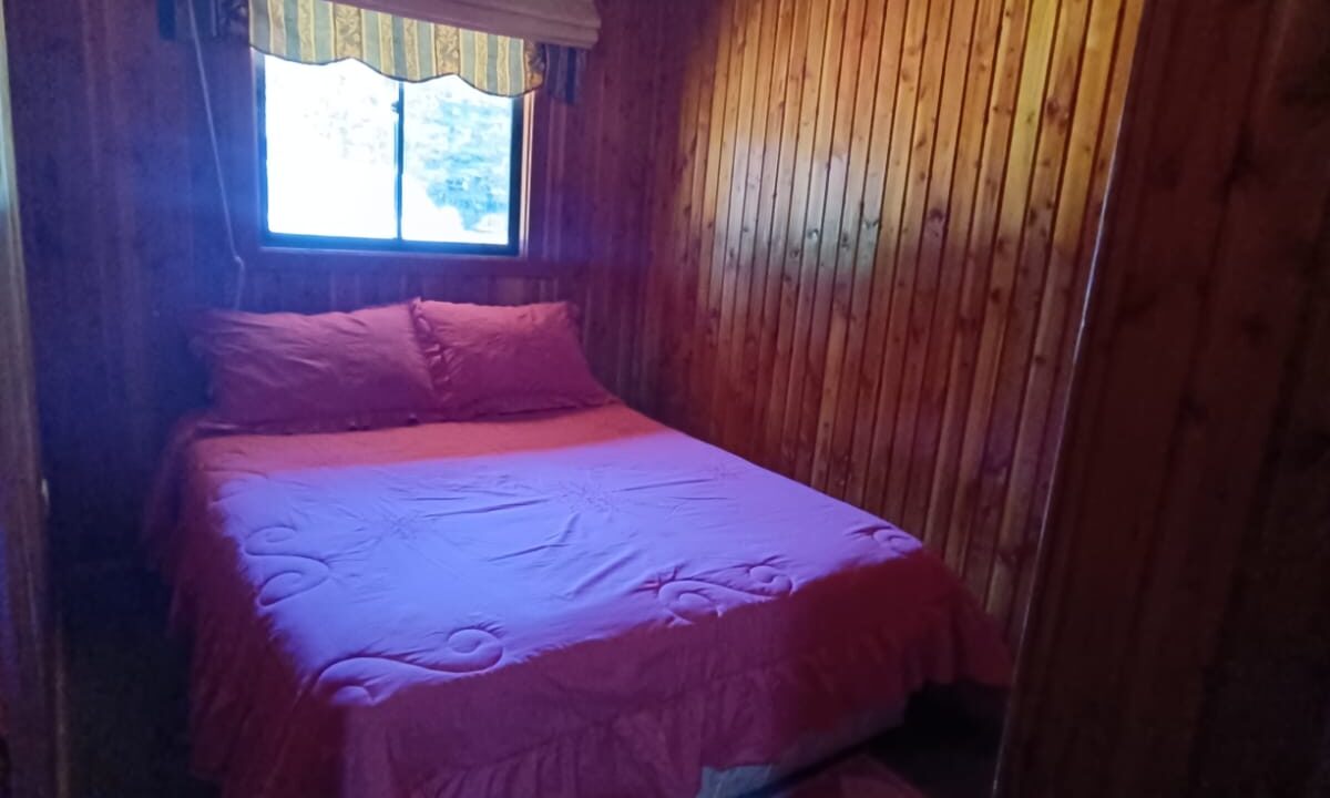 WhatsApp Image 2026-08-13 at 20.10.54 (1)